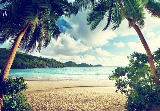 Toile de fond de photographie de plage de sable de mer pour les vacances d'été