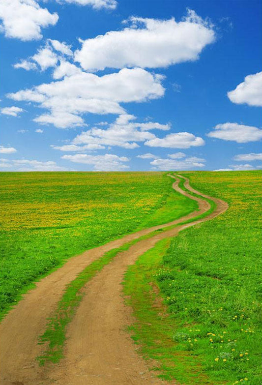 Toile de fond de printemps grande prairie sentier nature photographie