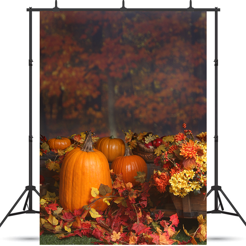 Toile de fond de citrouilles de scène d'automne pour la photographie SBH0194