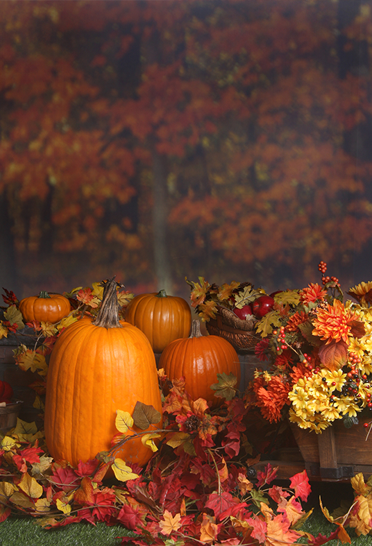 Toile de fond de citrouilles de scène d'automne pour la photographie SBH0194