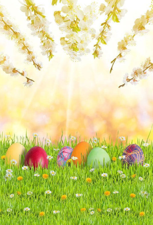 Toile de fond d'oeufs colorés de Pâques bokeh sur l'herbe avec le soleil pour la photographie