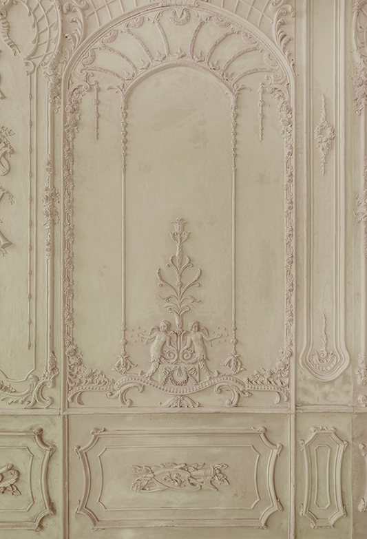 Toile de fond de mur vintage élégance rétro pour la photographie SBH0292