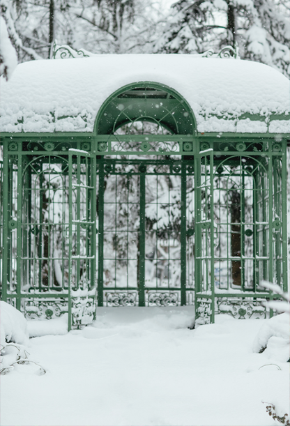 Toile de fond d'hiver froid et neigeux pour la photographie SBH0296