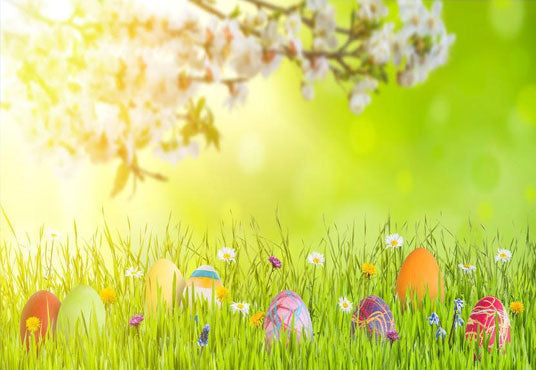 Toile de fond d'oeufs de Pâques colorés sur fond d'herbe verte pour la photographie