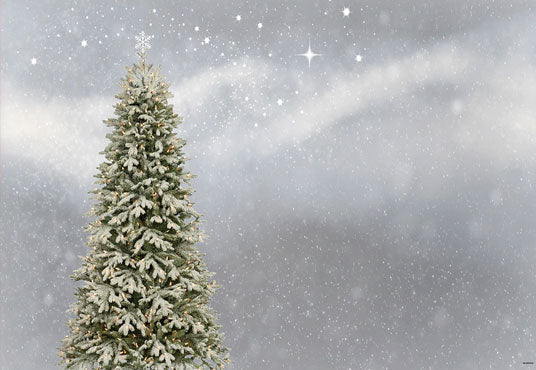 Toile de fond d'argent de Noël pin pour l'hiver