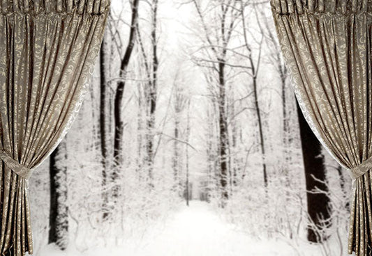 Toile de fond de photographie de forêt d'hiver de fenêtre pour Noël