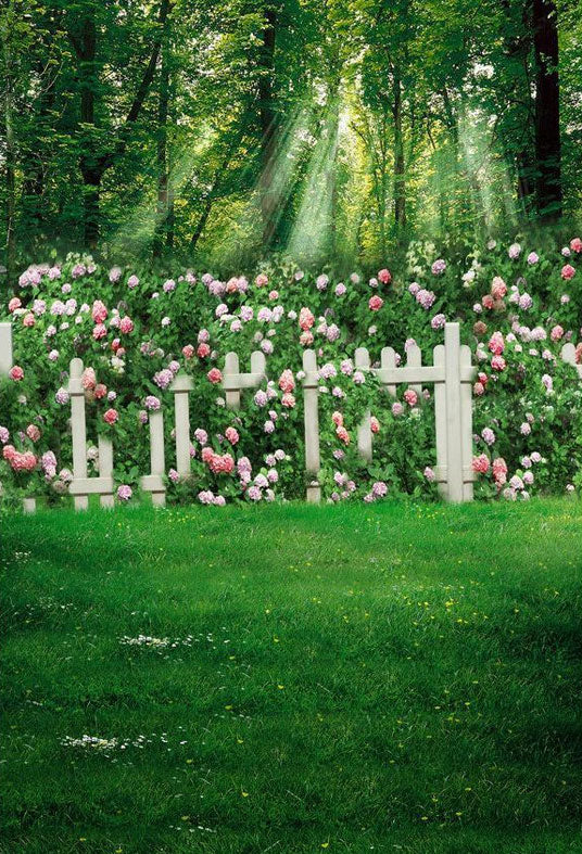 Toile de fond de clôture plantes vertes et de fleurs fond de photographie de belle forêt