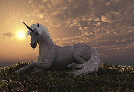 Toile de fond de coucher de soleil blanc pose licorne photo fable fantaisie photographie fond