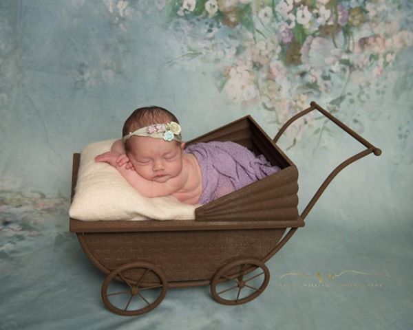 Toile de fond de portrait floral mariage bébé nouveau-né pour la photo studio