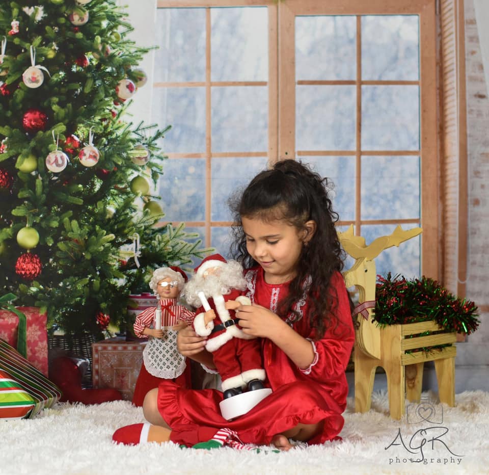 Toile de fond de fenêtre Noël photo studio