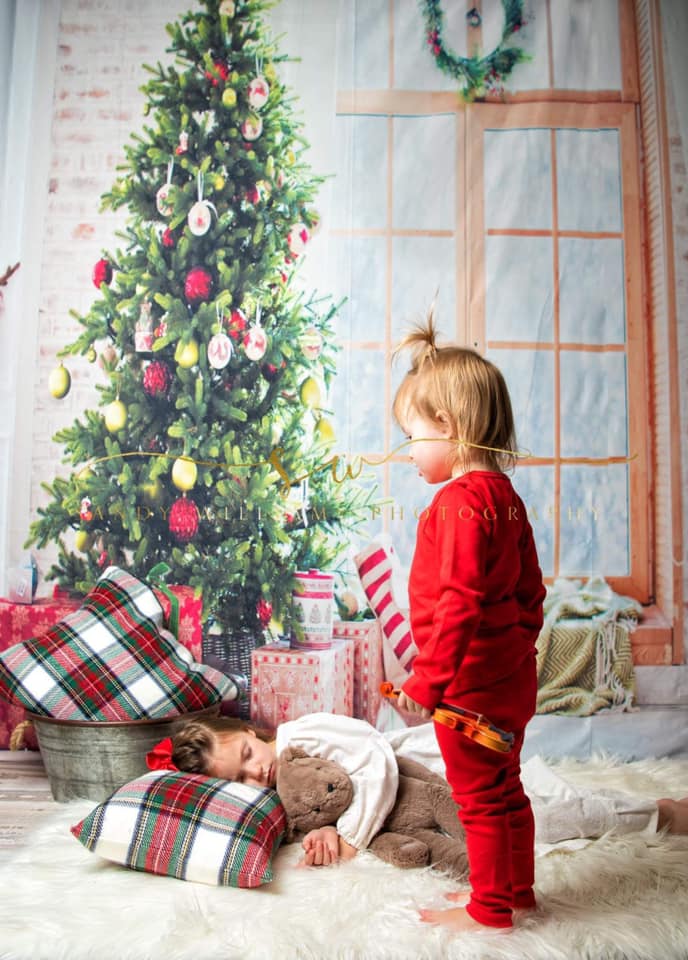 Toile de fond de fenêtre Noël photo studio