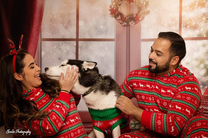 Toile de fond décors de photographie de Noël de fenêtre pour la photographie