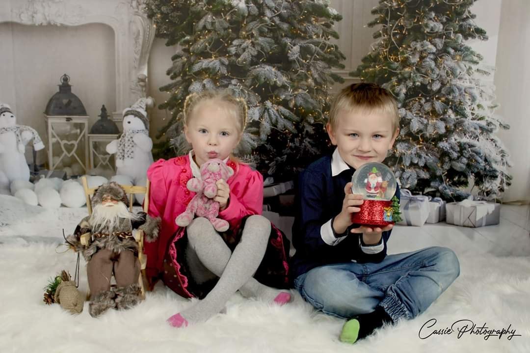 Toile de fond de photographie de plancher de bois blanc d'arbre de Noël