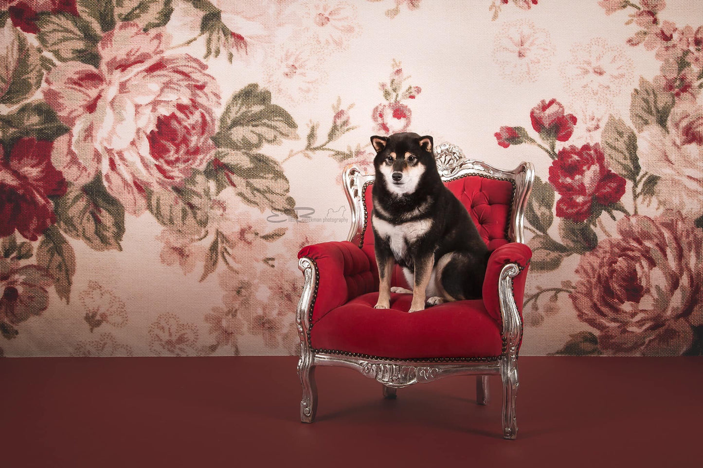 Toile de fond de photographie de portrait floral décors de nouveau-né