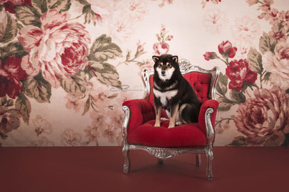 Toile de fond de photographie de portrait floral décors de nouveau-né