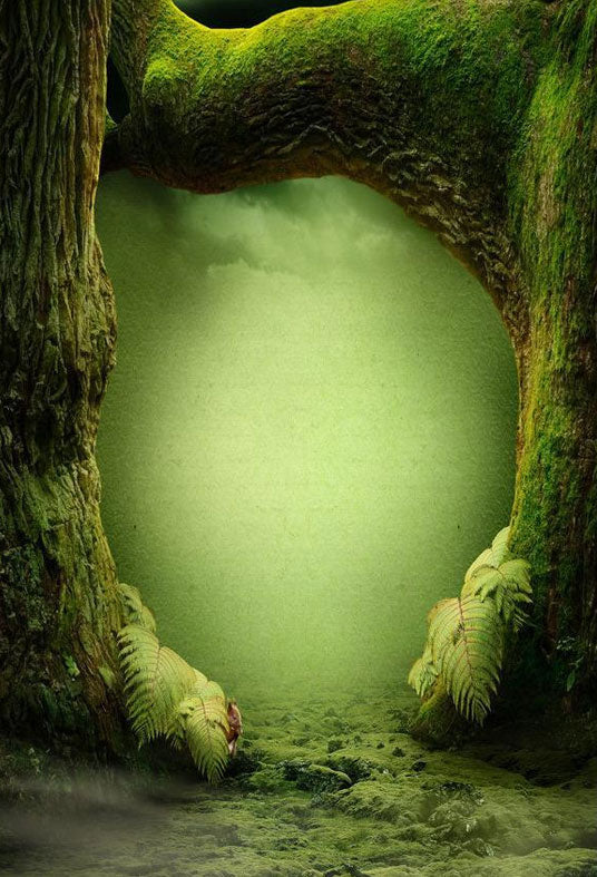 Toile de fond d'arbre forêt verte secrète paysage photographie