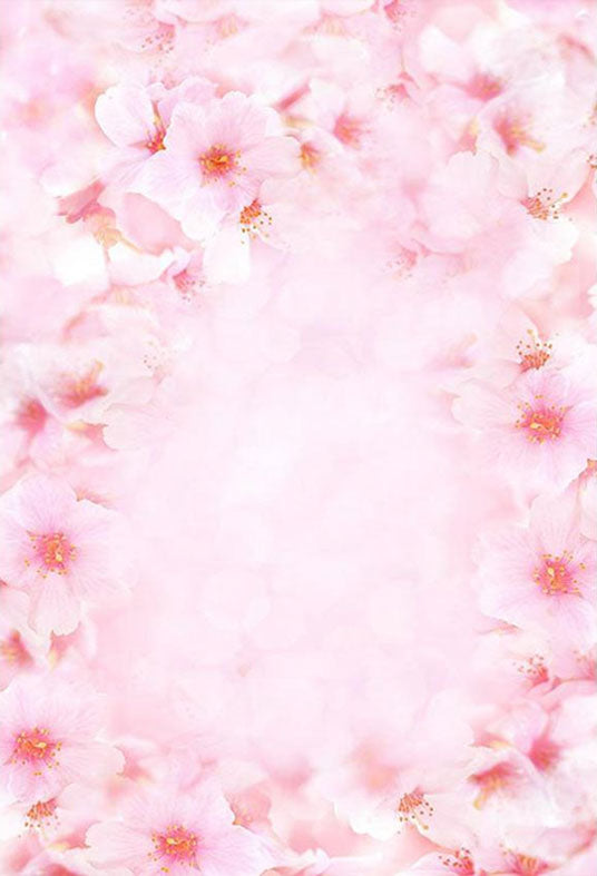 Toile de fond de fleurs belle roses pour la photographie