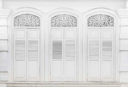 Toile de fond de blanchâtre porte en bois plancher bois photo photographie