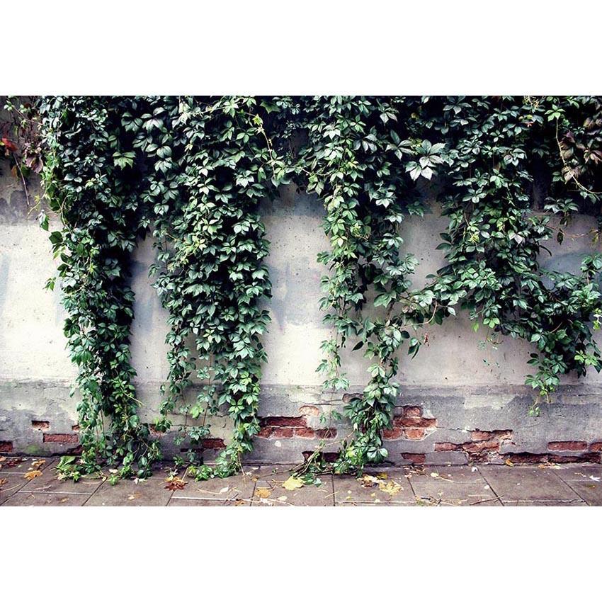 Green Leaves on White Broken Brick Wall Backdrop for Photo Photography