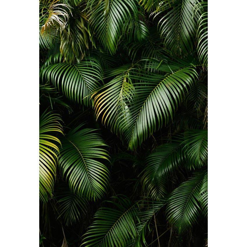 Green Tropical  Leaves Wall Backdrop for Studio Photography Background