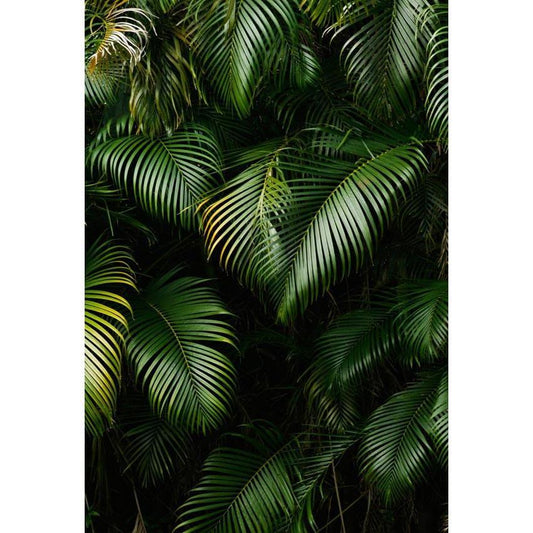 Green Tropical  Leaves Wall Backdrop for Studio Photography Background