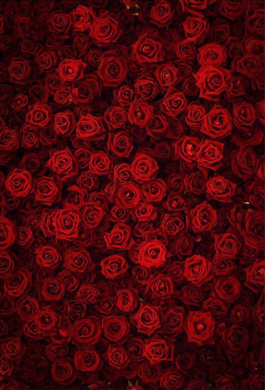 Toile de fond de mur de roses rouges pour la photographie de mariage