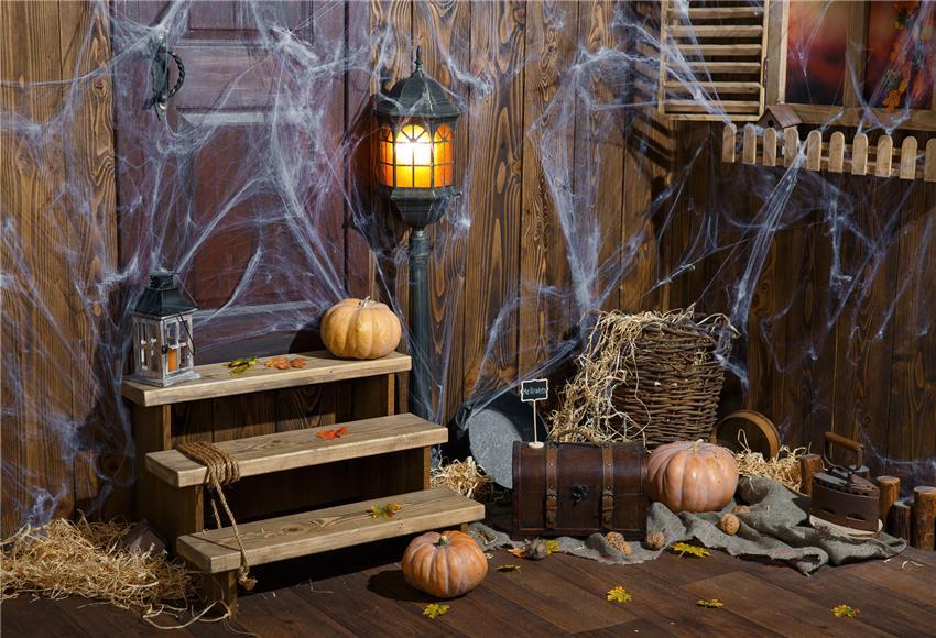 Toile de fond d'Halloween en toile d'araignée magique en bois
