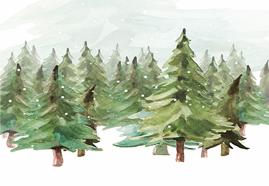 Toile de fond d'arbres vert de Noël d'hiver pour la photographie SBH0164