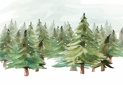 Toile de fond d'arbres vert de Noël d'hiver pour la photographie SBH0164