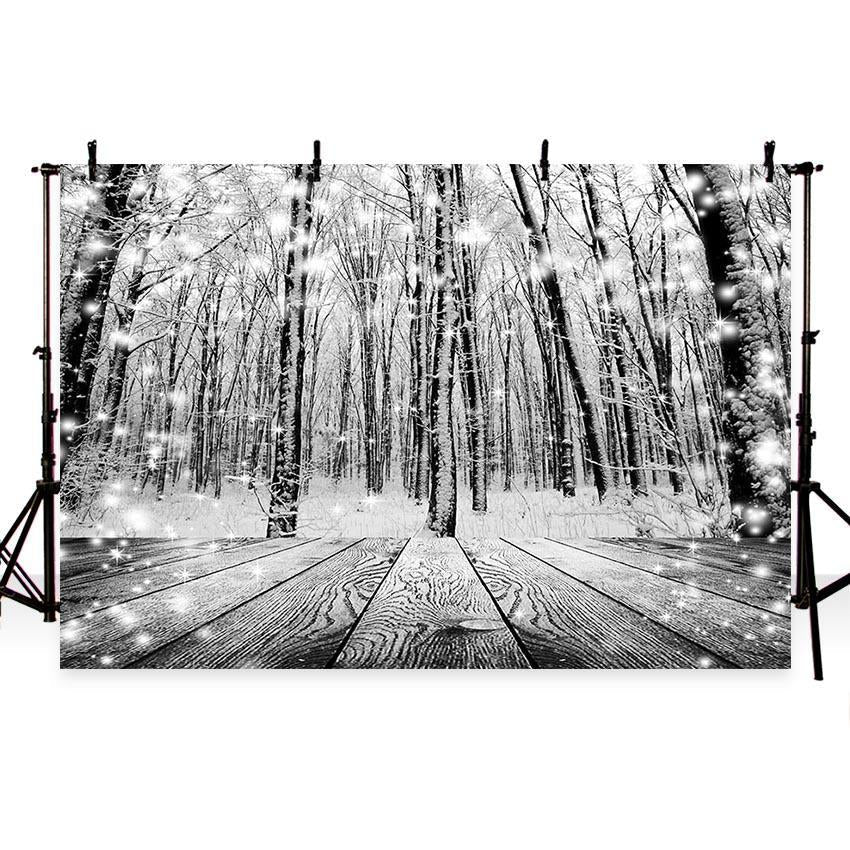 Toile de dond de photographie noir et blanc de bois de neige
