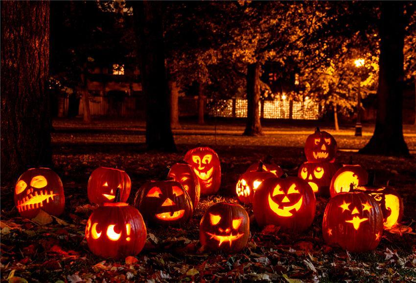 Toile de fond décors d'Halloween de forêt légère de citrouille