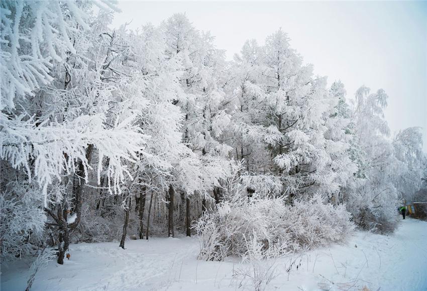 Toile de fond de branches de neige d'hiver décors de Noël