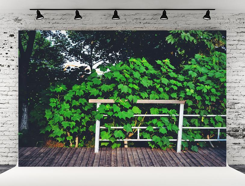 Toile de fond de photomaton de plancher de bois de nature de printemps