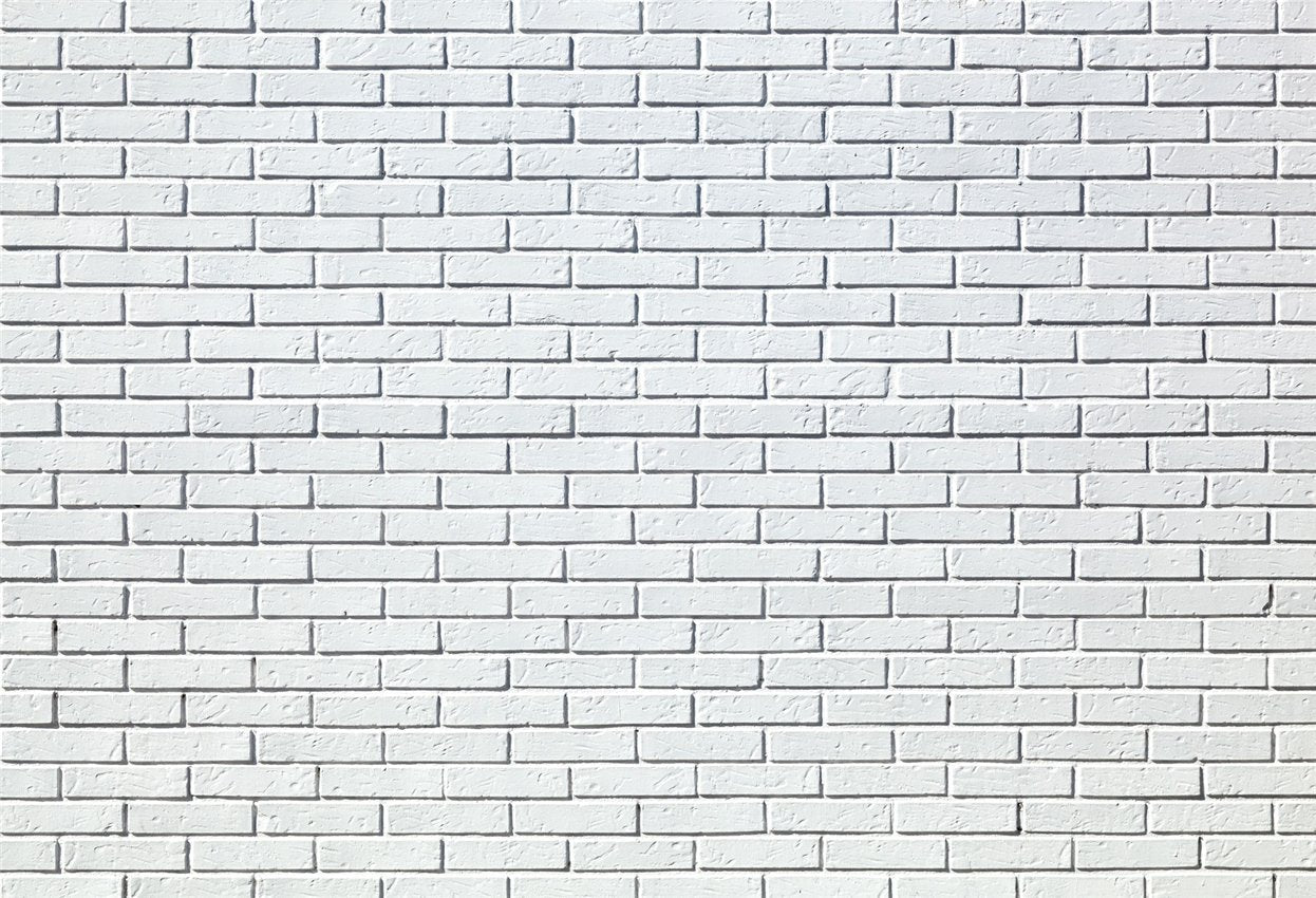 Toile de fond de cabine photo pour mur de briques blanches
