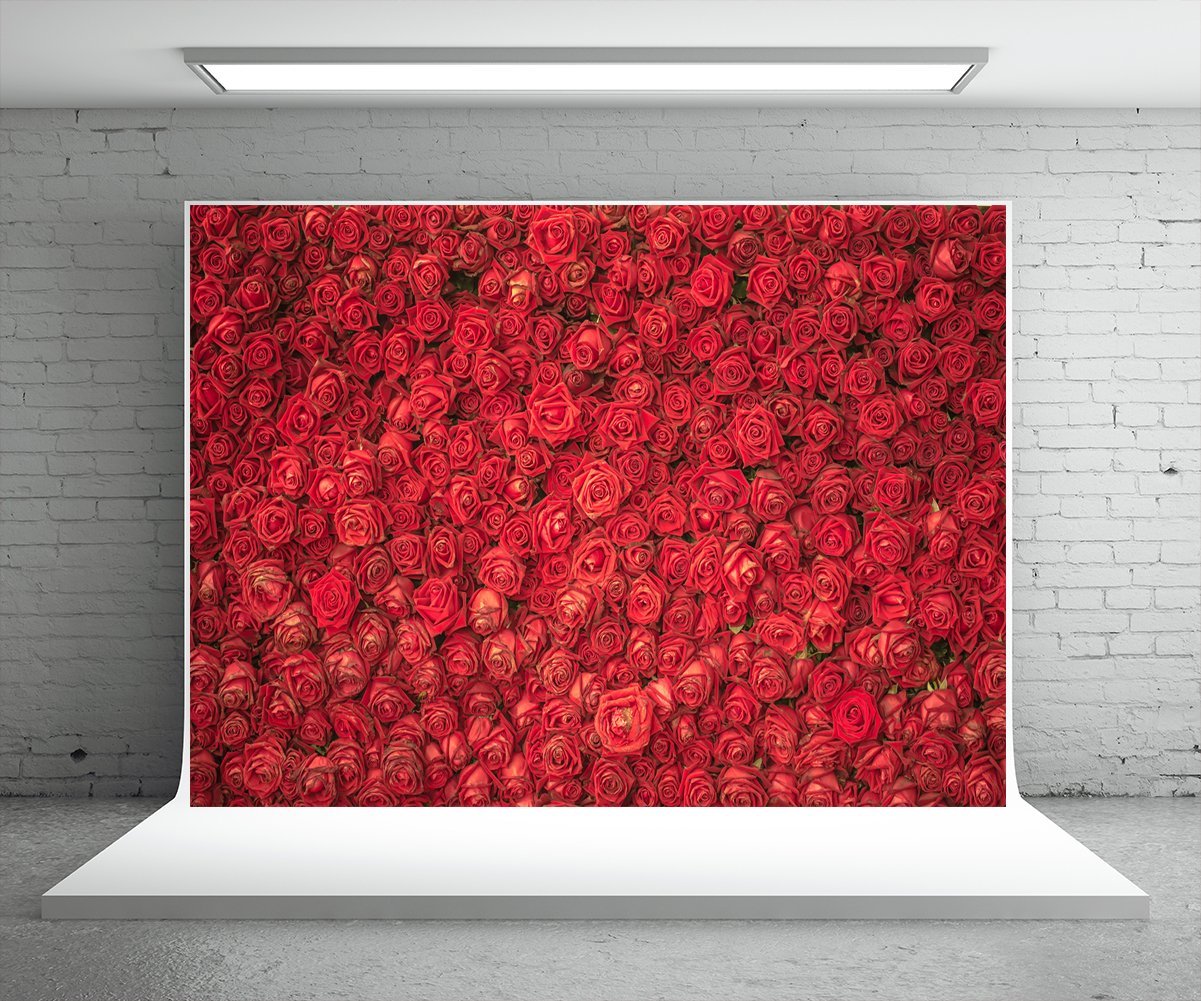 Toile de fond d'étoile de fleurs roses rouges pour décor de mariage