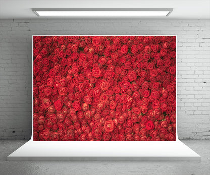 Toile de fond d'étoile de fleurs roses rouges pour décor de mariage
