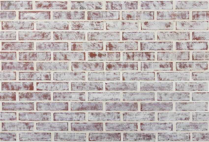 Toile de fond décors de studio photo de mur de brique rouge blanc