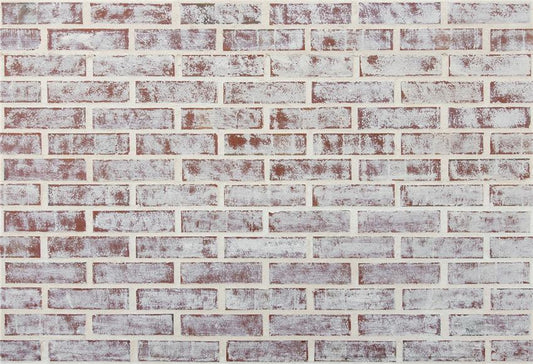 Toile de fond décors de studio photo de mur de brique rouge blanc