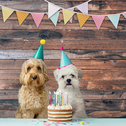 Toile de fond numérique bois rustique texture bois fond pour la photographie HM-H10001