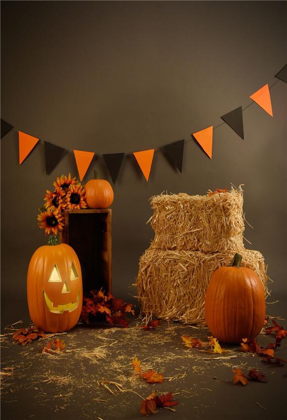 Toile de fond brun Halloween photographie de citrouille pour le studio