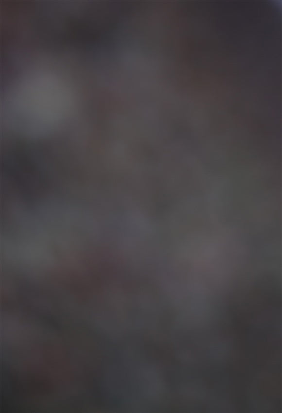 Toile de fond décors de photographie abstrait gris pour le nouveau-né