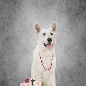 Toile de fond abstraite gris peint toile photographie studio Prop portrait Toile de fond pour la photographie K17061