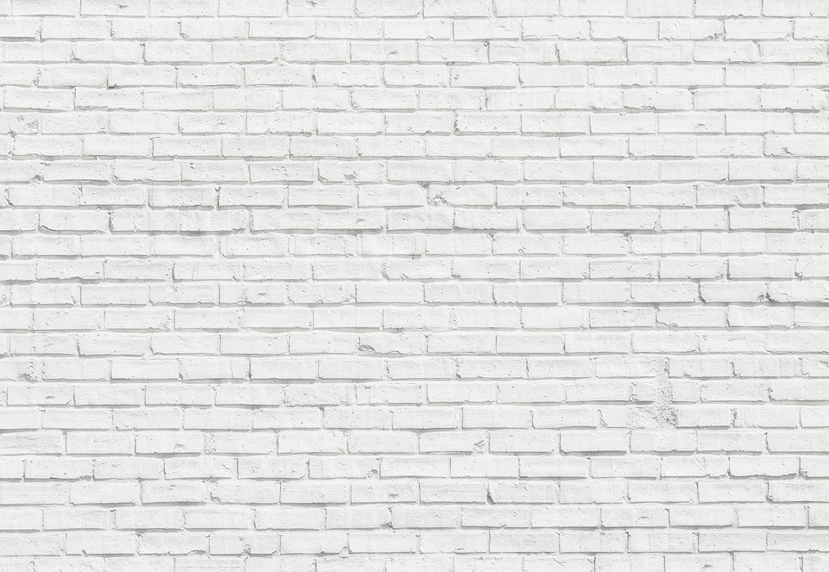 Toile de fond décors de photographie de mur de briques blanches