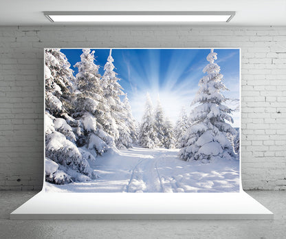Toile de fond de photographie de forêt de neige blanche fond d'hiver