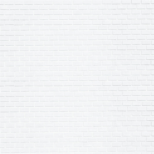 Toile de fond de brique blanc photographie pour portrait