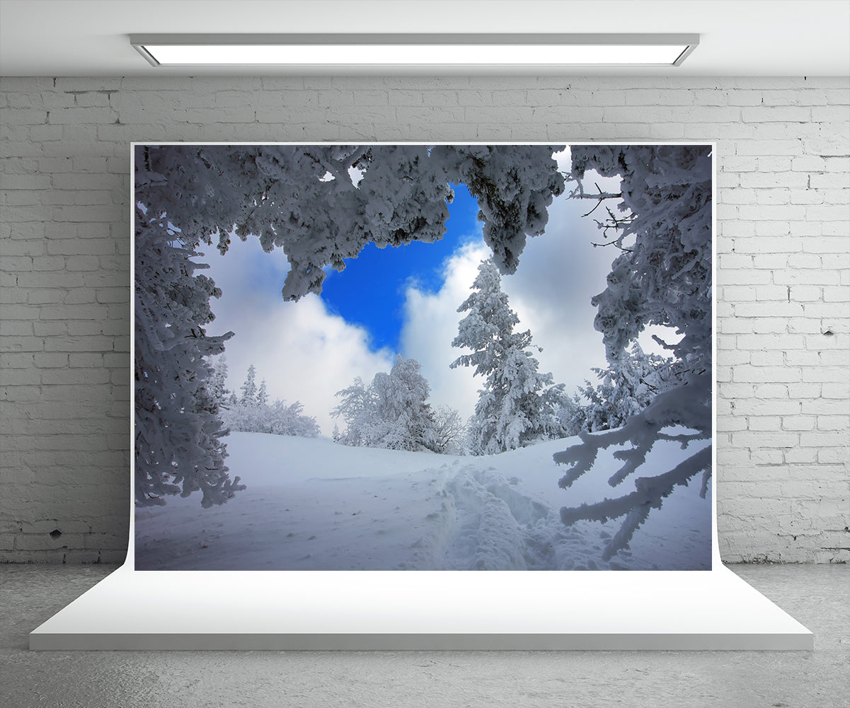 Toile de fond d'arbre de neige pour la photographie fond d'hiver