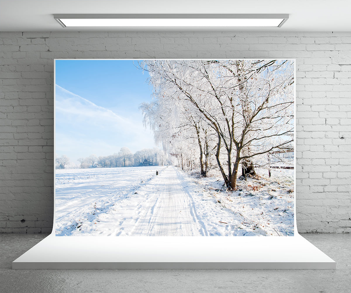 Toile de fond de blanc neige arbre photographie fond d'hiver