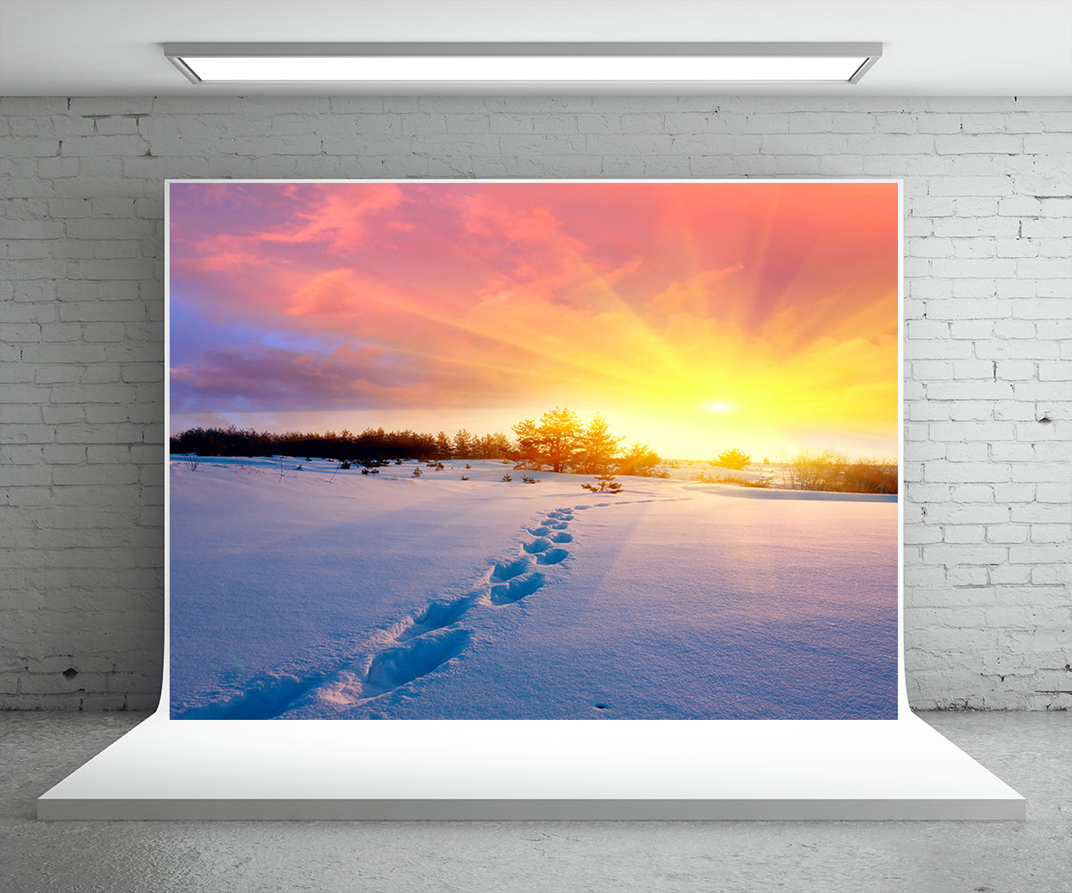 Toile de fond de coucher de soleil lumière neige photographie fond d'hiver