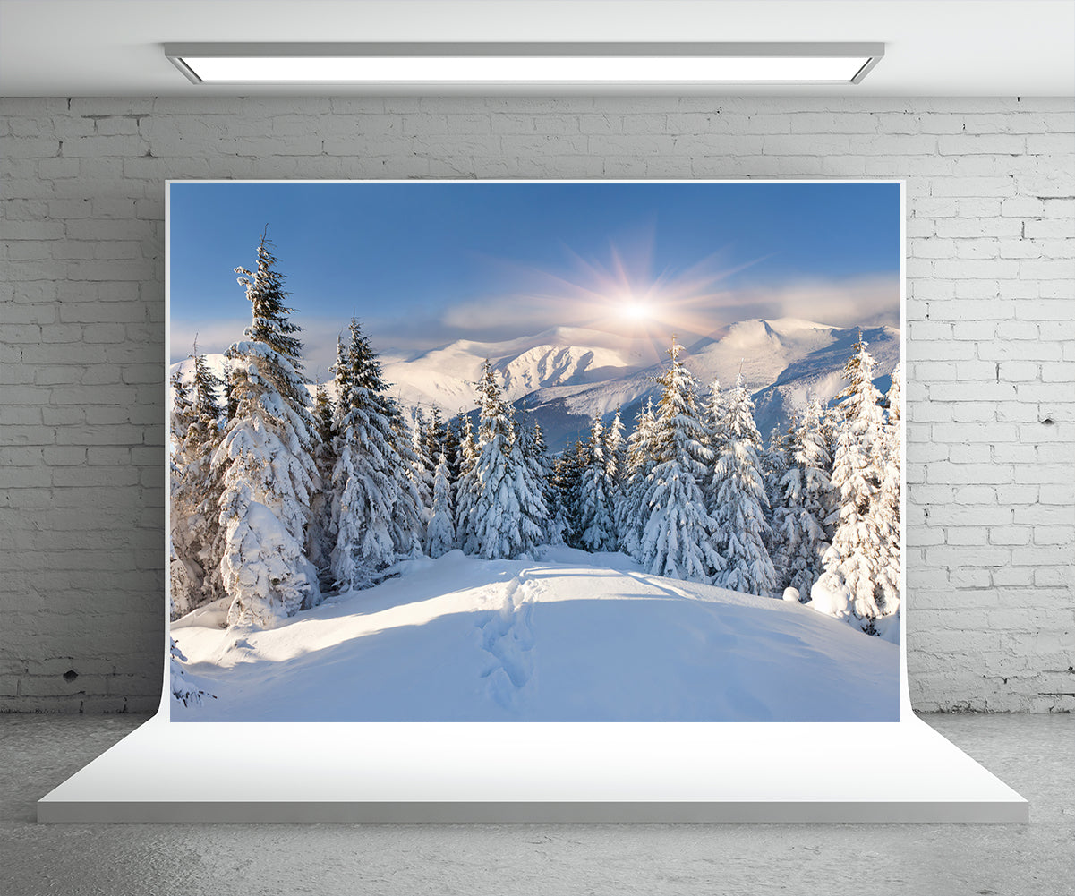 Toile de fond de photographie de montagne de forêt de neige blanche pour l'hiver