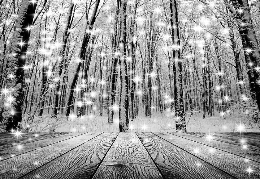 Toile de fond de photographie de flocon de neige léger fond de Noël